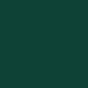 Moss Green <br>  RAL 6005 <br> MATT